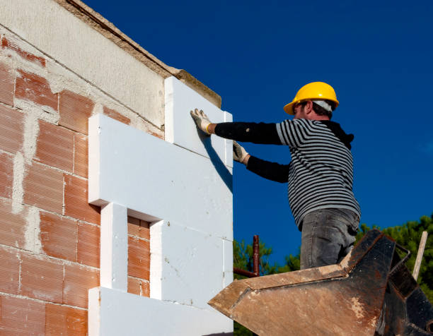 Best Insulation Maintenance and Repair in Ladson, SC