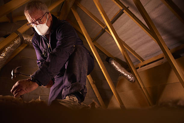 Types of Insulation We Offer in Ladson, SC
